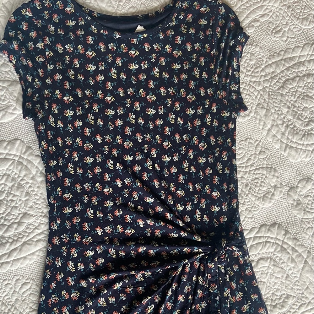 NWT Loft dress